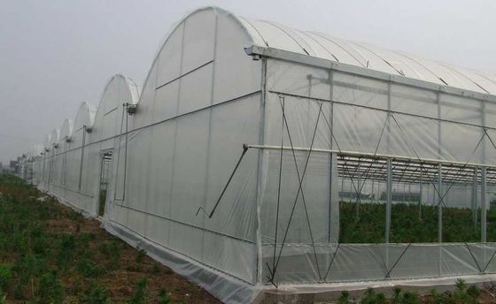 ポリエチレンのPEのフィルムの温室Muitlは200ミクロン強い適用の可能性に及ぶ