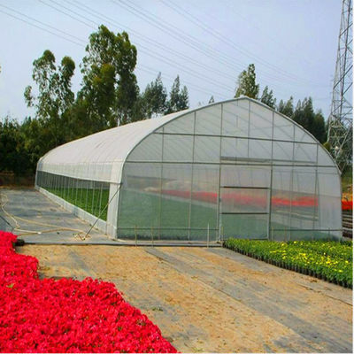 単一のトンネルのPEのフィルムの温室の経済的なタイプ野菜温室