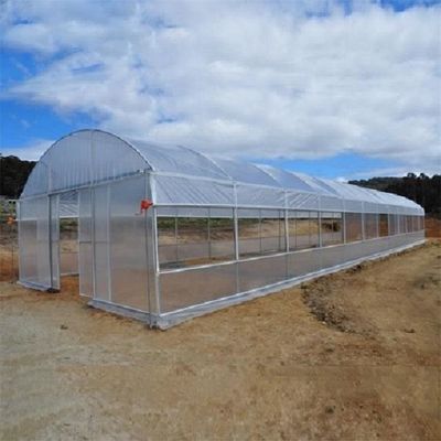 単一のトンネルのPEのフィルムの温室の経済的なタイプ野菜温室
