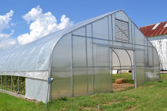 単一のトンネルのPEのフィルムの温室の経済的なタイプ野菜温室