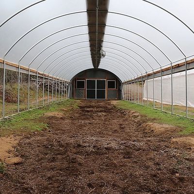 単一のトンネルのPEのフィルムの温室の経済的なタイプ野菜温室